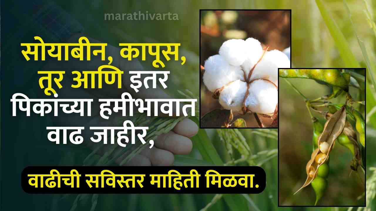 Kharif MSP 2024