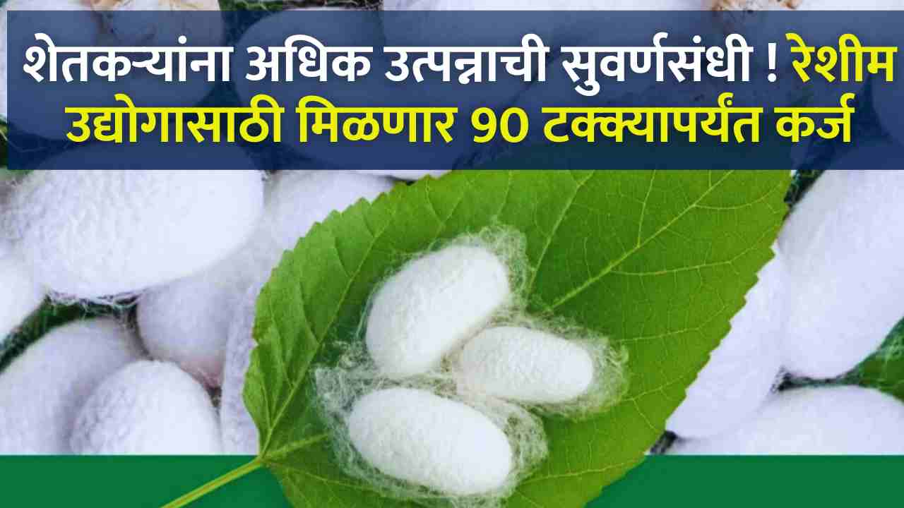 Silk Farming Loan